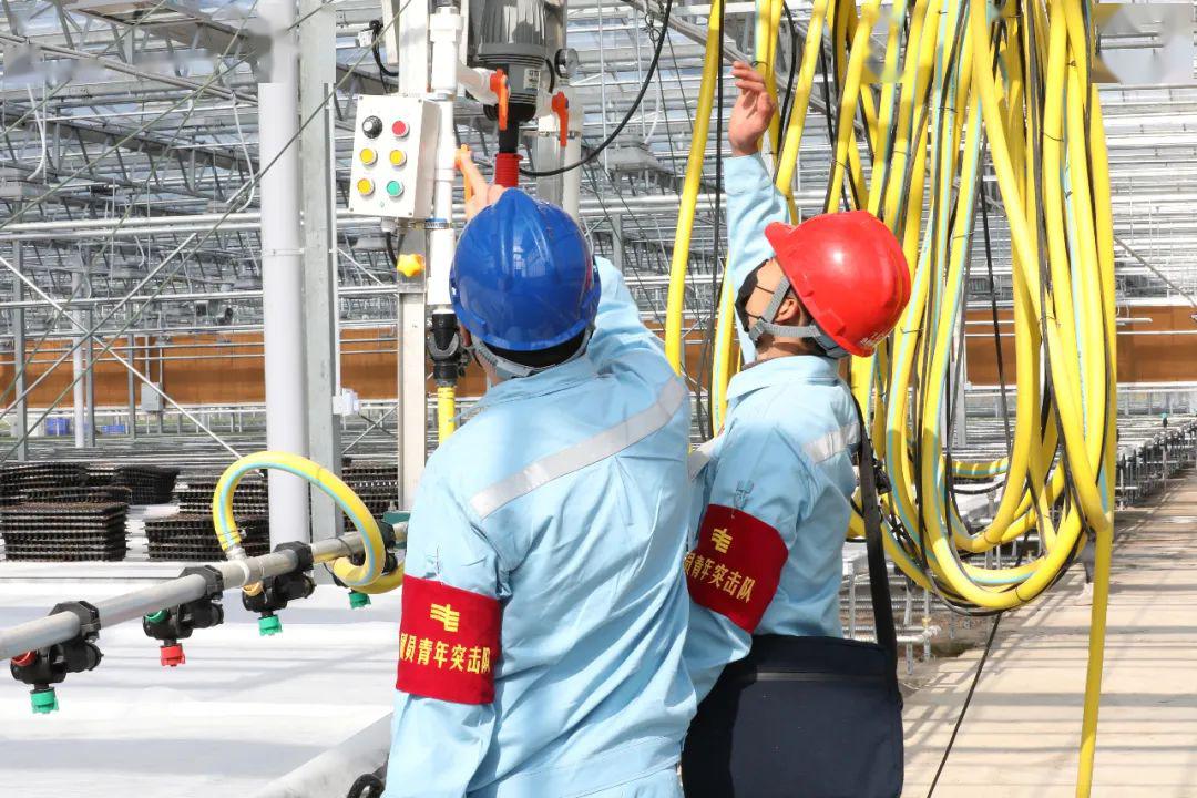 草海機(jī)場(chǎng)最新動(dòng)態(tài)揭秘，建設(shè)進(jìn)展、航班信息及未來(lái)展望