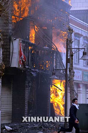 西藏最新事件，雪域高原的溫馨日常觀察
