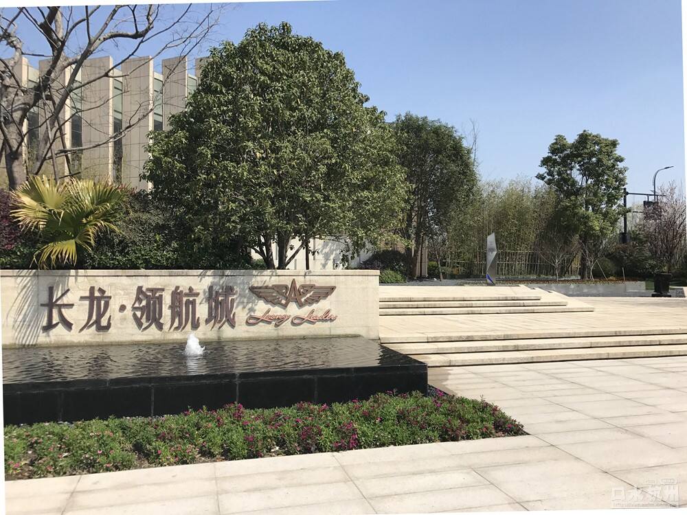 長龍領航最新動態(tài)，駕馭變革，開啟知識海洋的勵志之旅