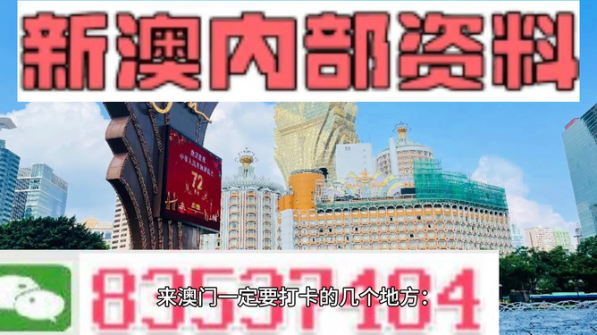 2024新澳天天資料免費大全,快速實施解答研究_機器版2.677