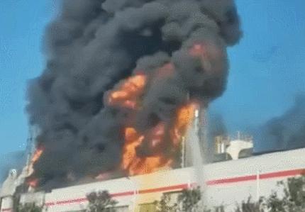 西安高陵最新動(dòng)態(tài)探索自然美景，心靈寧?kù)o之旅啟程