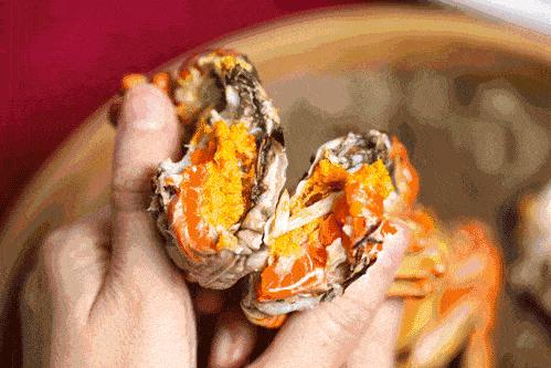 ??陽(yáng)澄湖螃蟹上市季節(jié)情報(bào)，吃貨必知的秋季美味盛宴！??