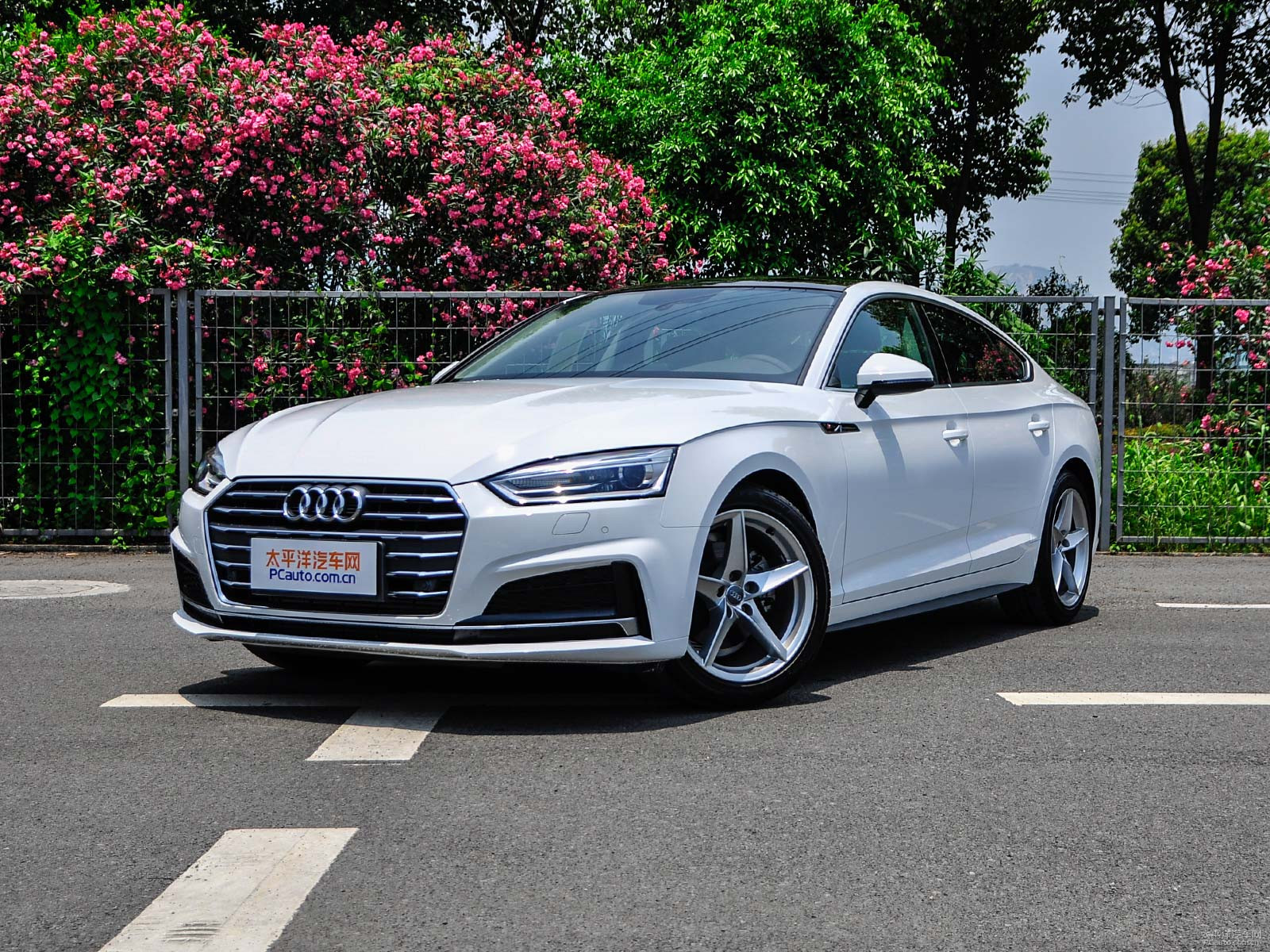 新款奧迪A5價格及圖片，自然美景探索之旅的絕佳選擇