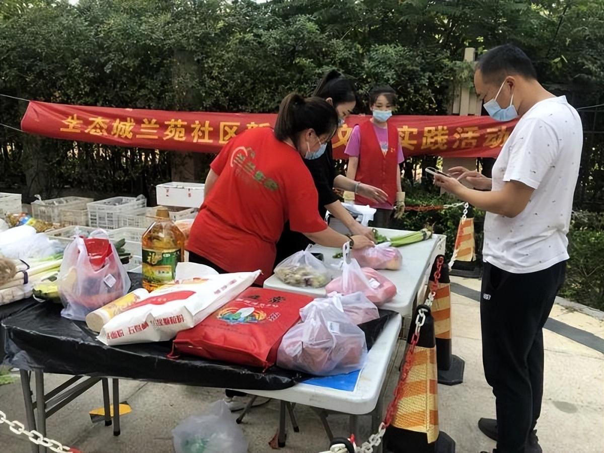 保利華潤(rùn)紫云價(jià)格深度解析，探尋背后的故事與地位影響