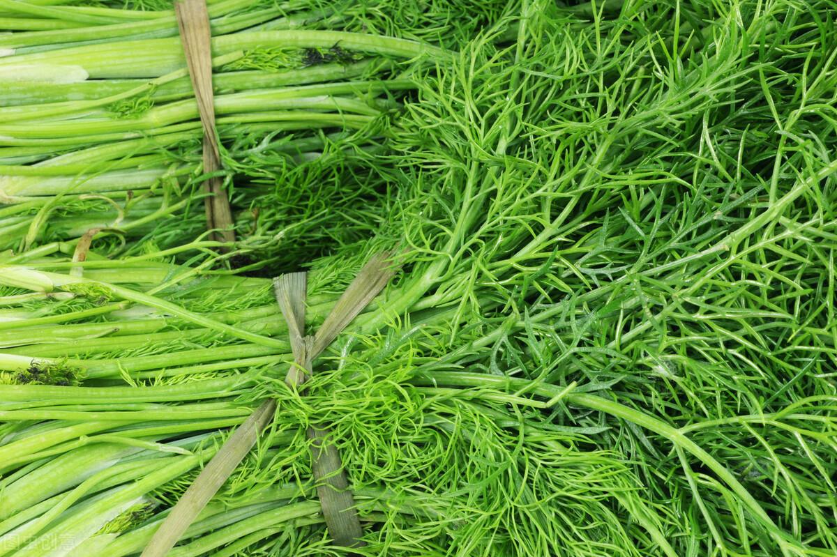 茴香價(jià)格動(dòng)態(tài)，香氣變化與你的關(guān)聯(lián)