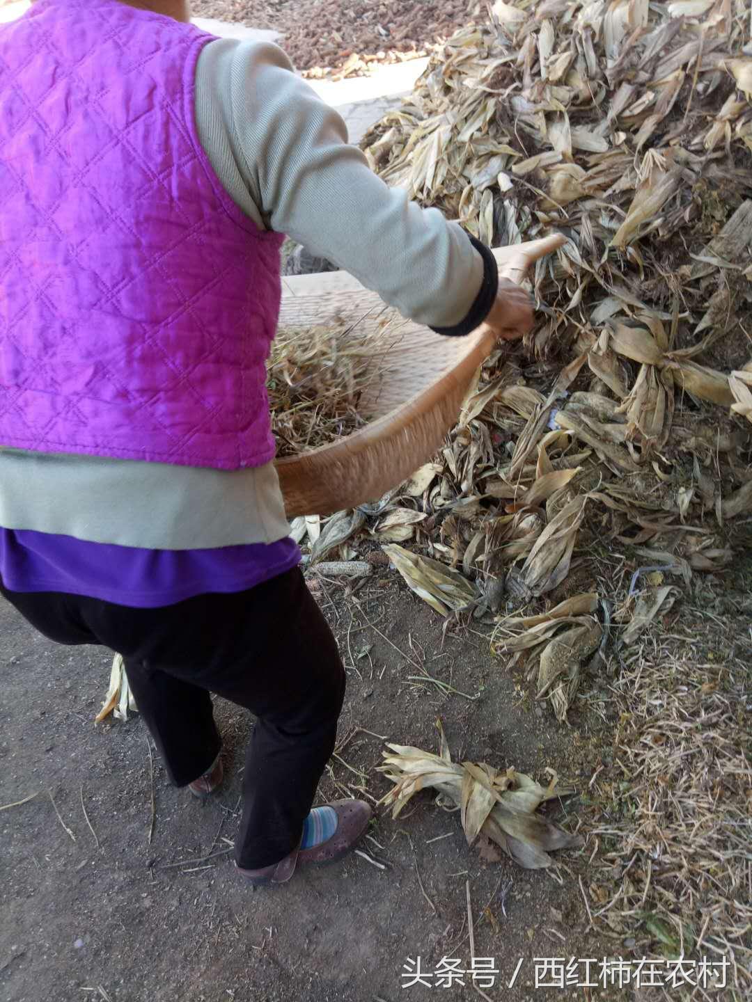 彬縣撤縣設(shè)區(qū)最新進(jìn)展，最新動(dòng)態(tài)更新