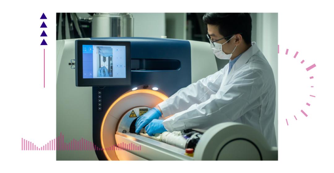 香港脊髓研究取得新進展，探索自然美景的心靈之旅新篇章