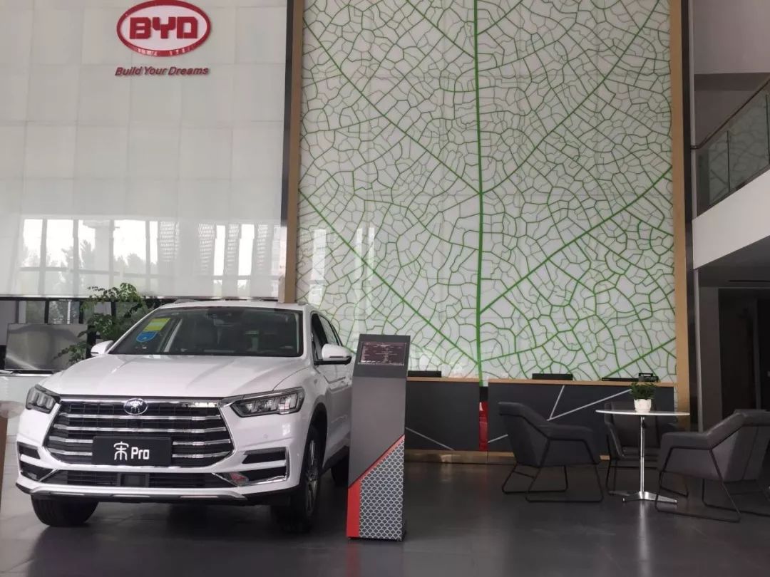 重磅更新，比亞迪最新招聘信息揭秘???