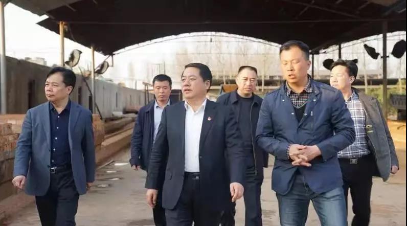 商丘王仲田最新動態(tài)，探索自然美景的旅行，尋求內心平和之旅