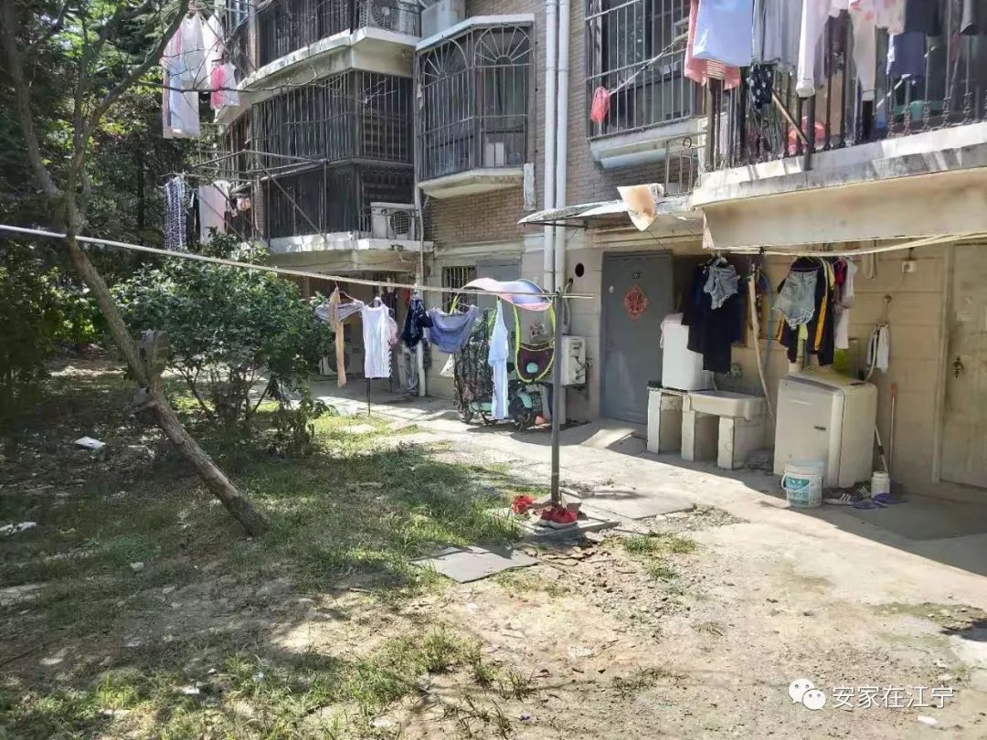 最新大雜亂時代，混沌與秩序的重建之路