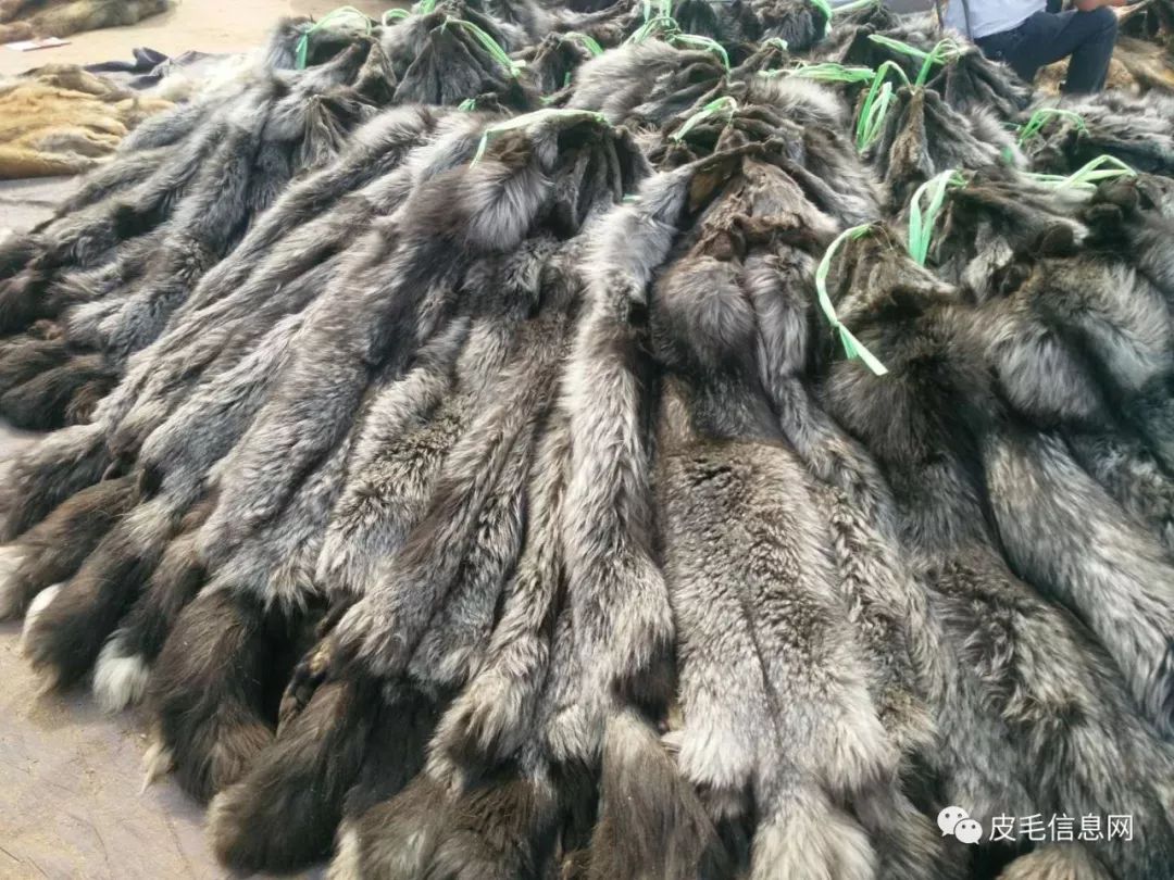 貉皮尚村最新價(jià)格，小巷中的時(shí)尚皮草寶藏探索