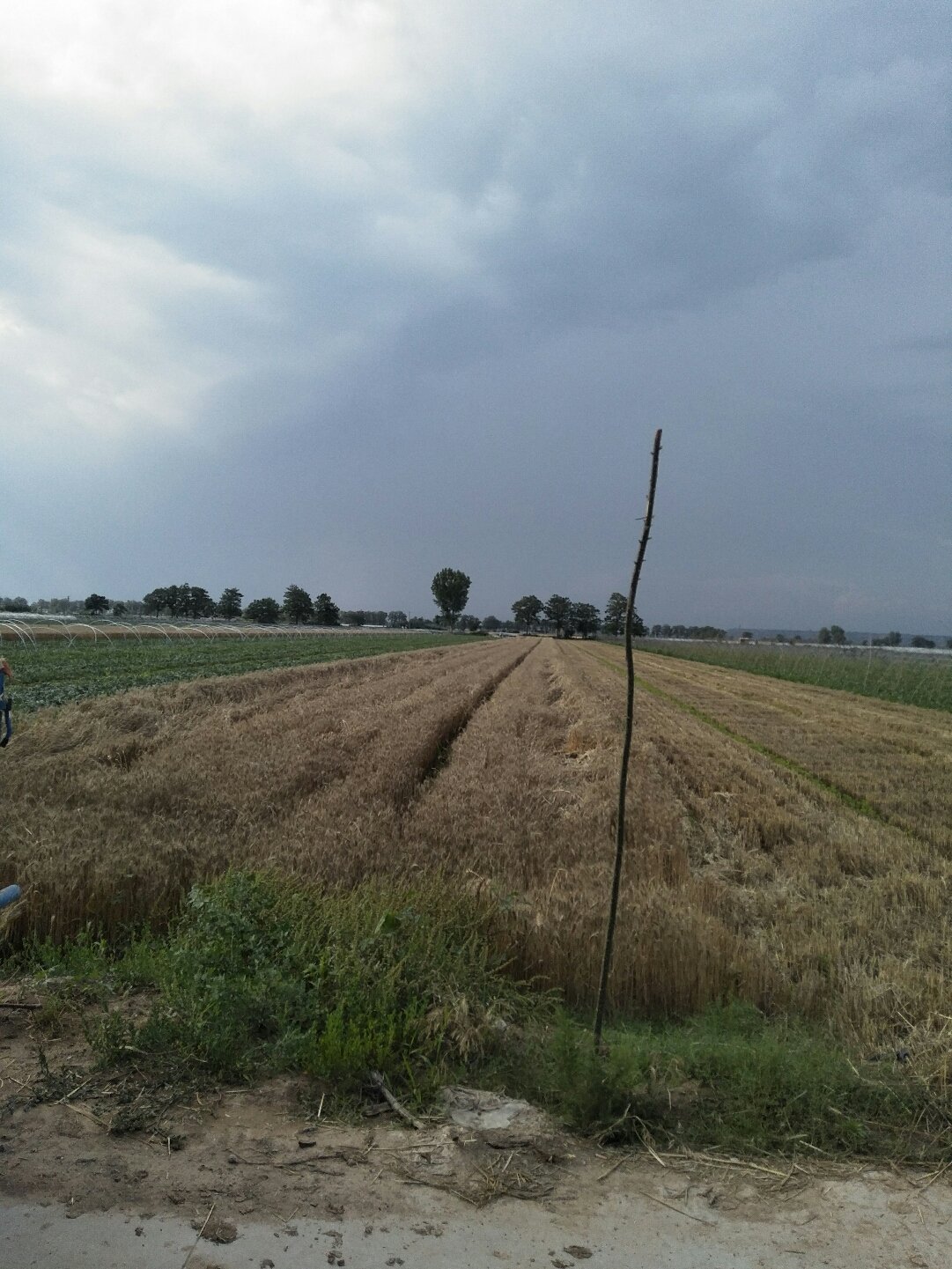 蒲城天氣預(yù)報(bào)，暖陽(yáng)下的友情時(shí)光