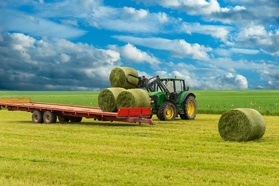 農(nóng)業(yè)最新動(dòng)態(tài)，時(shí)代的脈搏與綠色希望共舞