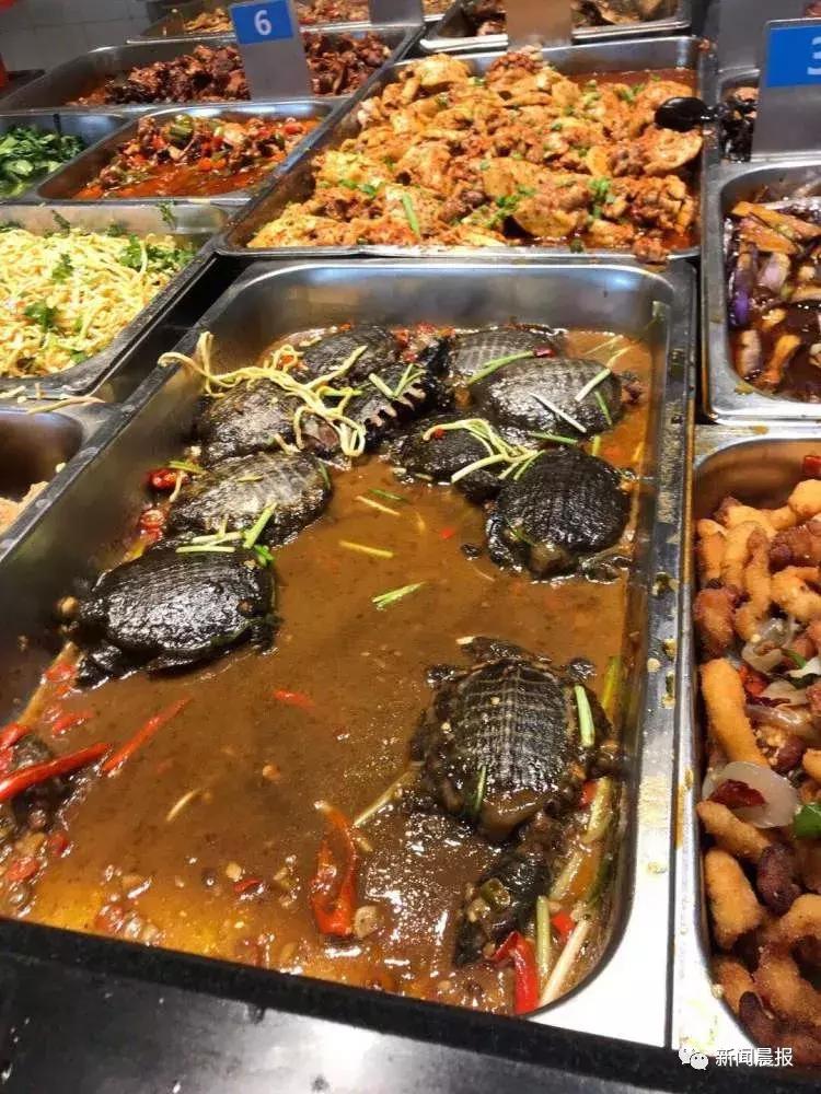 探索食堂美食新潮流，最新食堂菜一覽