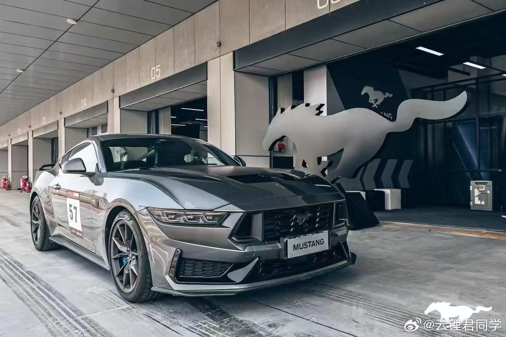 野馬擼最新動態(tài)，駕馭變化，自信成就夢想之旅