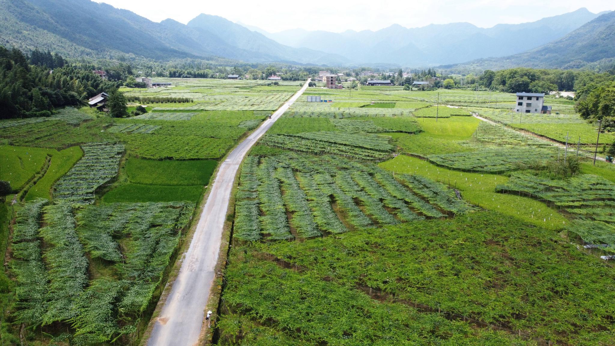 新文村，時代變遷下的文化繁榮與發(fā)展新篇章