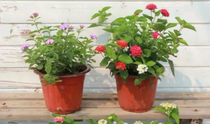 廣場(chǎng)燈具 第131頁