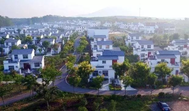 定遠最新動態(tài)更新??速遞