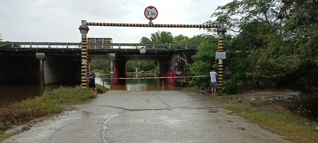 惠陽臺風最新消息，小巷深處的風味秘境