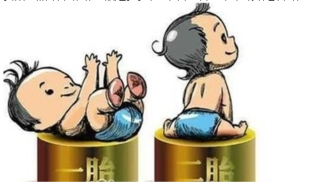 最新雙胞胎補助政策，攜手同行，助力孕育夢想之路