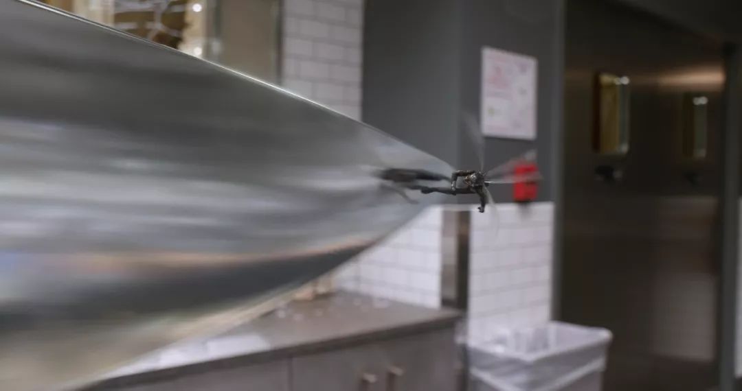 最新電泳技術(shù)，一路向前，學(xué)習(xí)成就自信之源