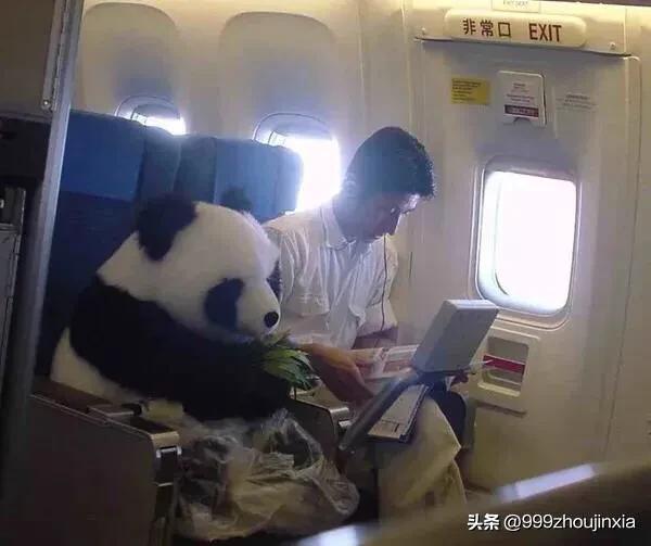 追逐變化之翼，學(xué)習(xí)鑄就自信與成就——虛幻最新探討