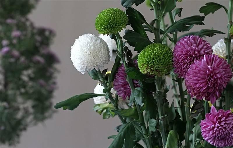 最新娛樂頭條，躍上成功舞臺(tái)的魔力之旅，自信與成就感的碰撞