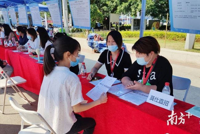 石碣最新招聘動(dòng)態(tài)，把握職業(yè)機(jī)遇，共創(chuàng)美好未來(lái)之路