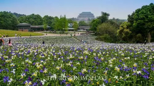 石象湖門(mén)票最新信息，賞花門(mén)票火熱搶購(gòu)中！