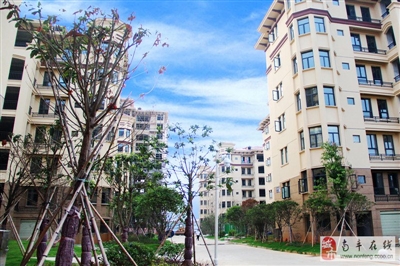 江西南豐最新房價分析與探討