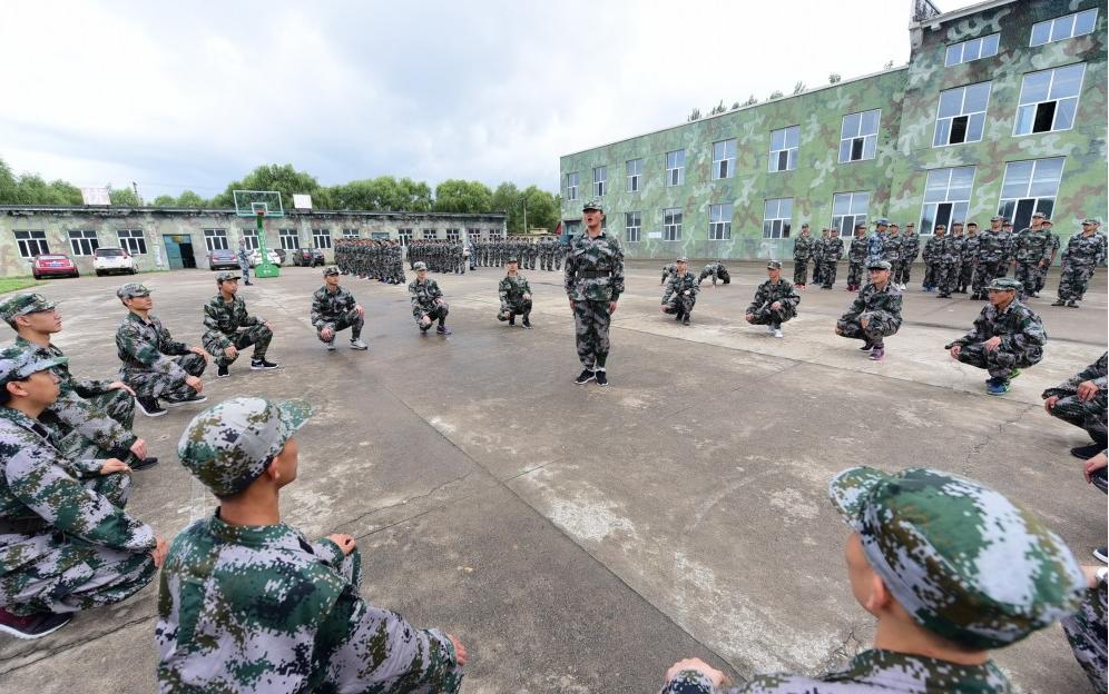 遼寧人才網(wǎng)最新招聘，時代脈搏與人才匯聚的交匯點