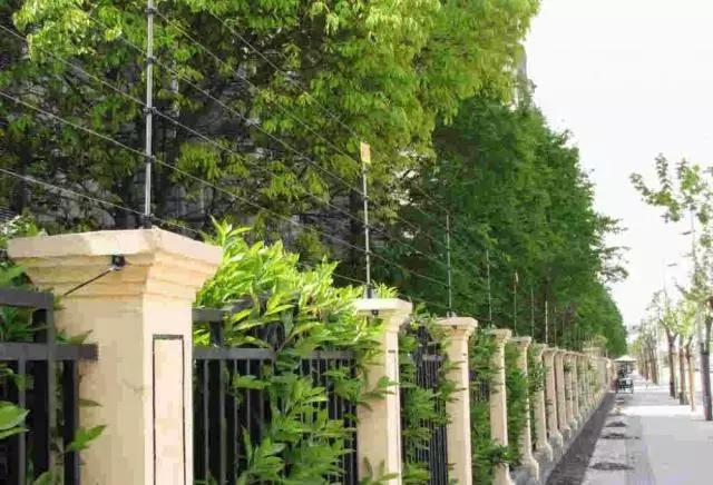 山河藥輔最新動態(tài)，引領(lǐng)醫(yī)藥行業(yè)新篇章