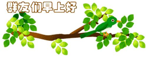 最新清晨祝福短信，晨曦中的溫暖問候，傳遞美好祝愿與關(guān)懷