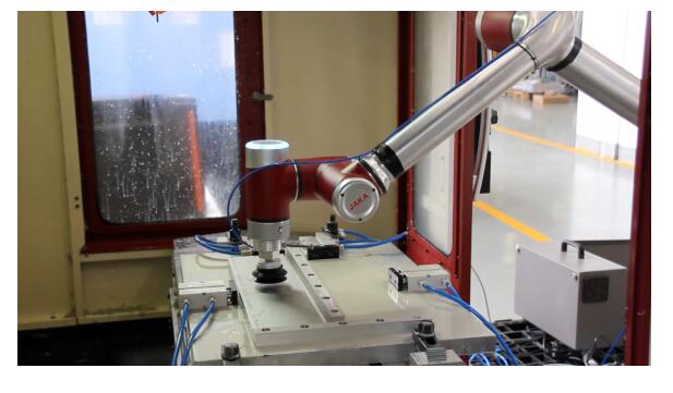 革新種植技術，最新種姜機器助力姜農高效生產
