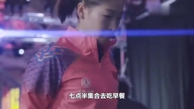 笑斯人最新視頻，日常趣事與友情的紐帶展現(xiàn)！