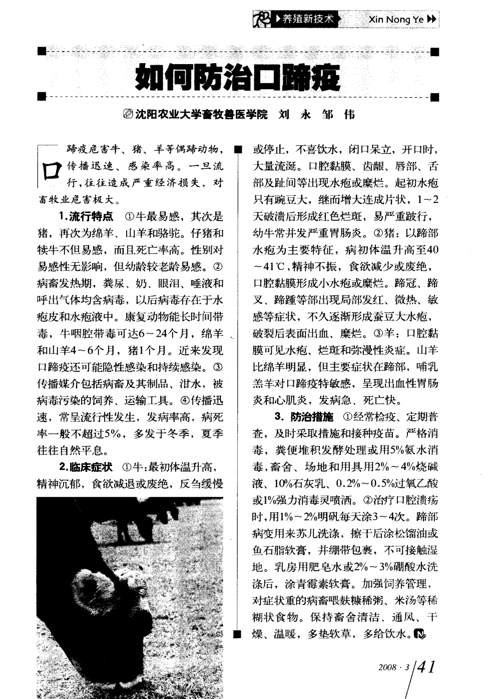 口蹄疫最新科研，自然探險(xiǎn)與內(nèi)心平和的追尋之旅