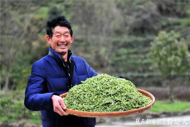 最新夷陵新聞，探索自然美景的旅程，尋覓內(nèi)心平和之地