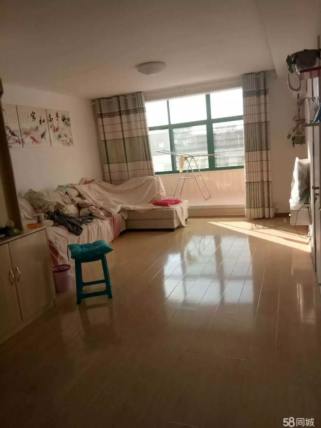 萊西最新個(gè)人租房，窗外世界與自我成長(zhǎng)的旅程