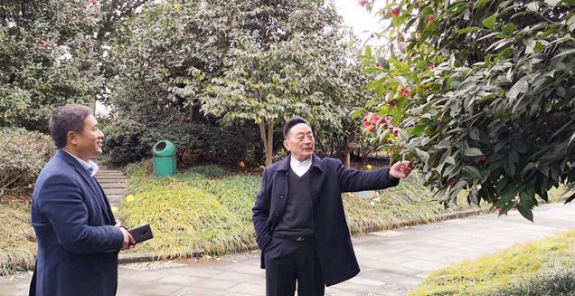 最新花木求購，開啟一場尋綠之旅的溫馨旅程