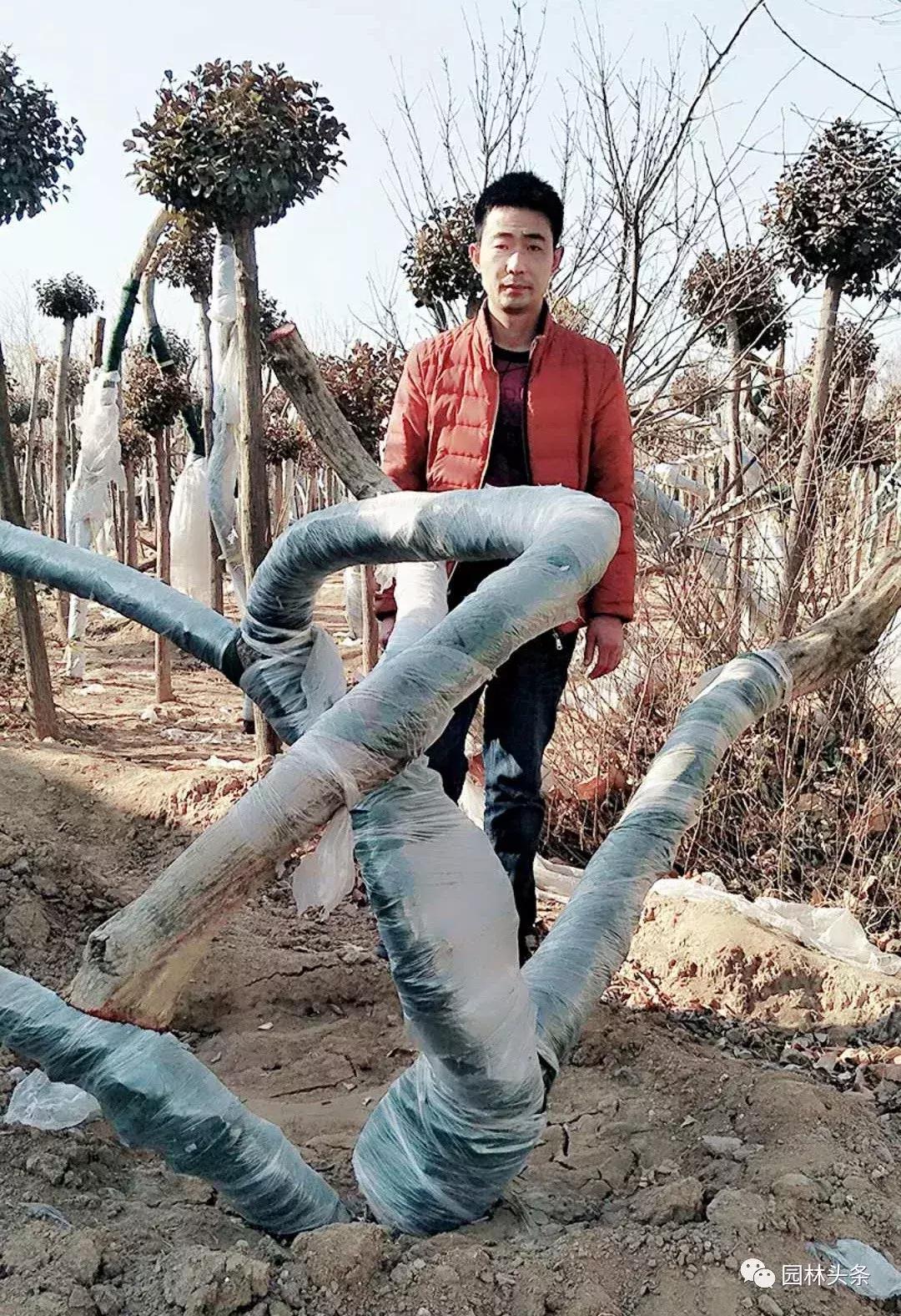 定州最新急招工，時(shí)代的呼喚與行業(yè)重塑的挑戰(zhàn)