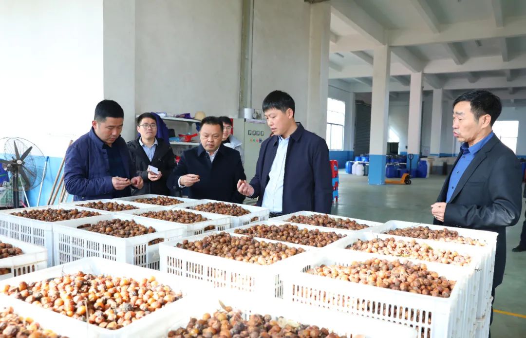 建寧最新新聞，城市溫馨日常與友情力量的展現(xiàn)