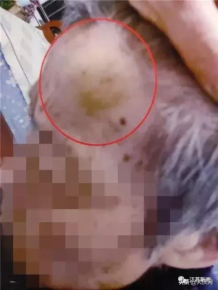 揪脖子最新視頻，探秘小巷風情小店，獨家揭秘！