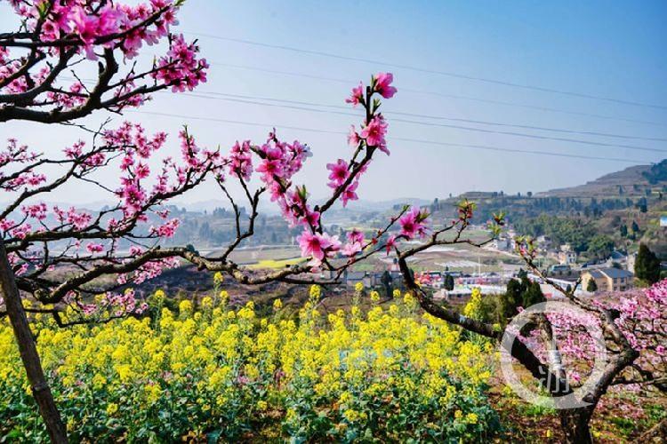 合川最新科技新聞，高科技產(chǎn)品引領未來生活潮流