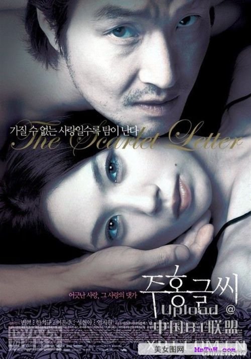 最新內(nèi)地倫理電影探索與啟示，揭示社會倫理的啟示與價值