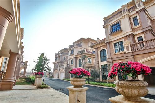 新泰最新樓盤，城市發(fā)展與居住品質(zhì)的新篇章