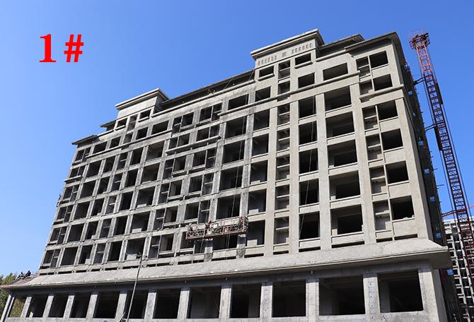 平輿最新樓盤市場現(xiàn)狀與前景展望，深度解析市場趨勢與發(fā)展前景展望