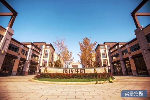 鳳儀莊園最新動(dòng)態(tài)，家的溫馨與友情的綻放時(shí)刻