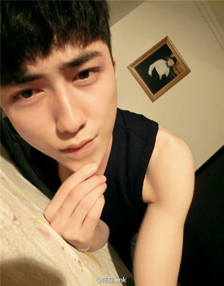 陳淀最新圖片，自然美景的探索之旅，尋覓內(nèi)心平和與喜悅的源泉