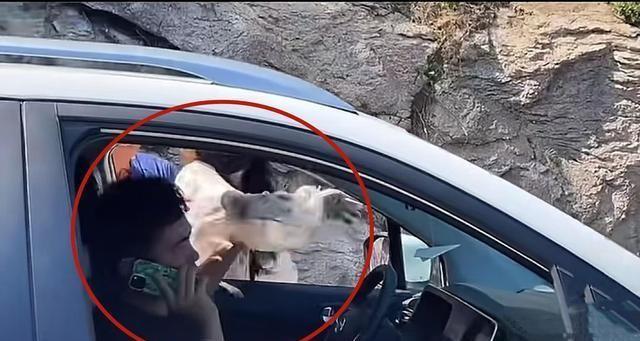 奔馳最新廣告，小明的溫情之旅啟程了