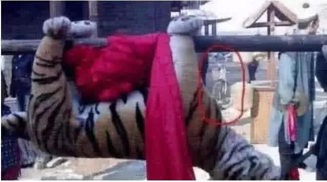 最新打虎消息，探尋內(nèi)心平靜的打虎之旅